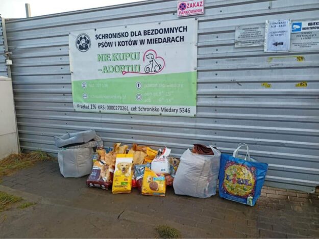 Paczki z karmą dla psów i kotów oraz reklamówki z kocami na tle baneru schroniska