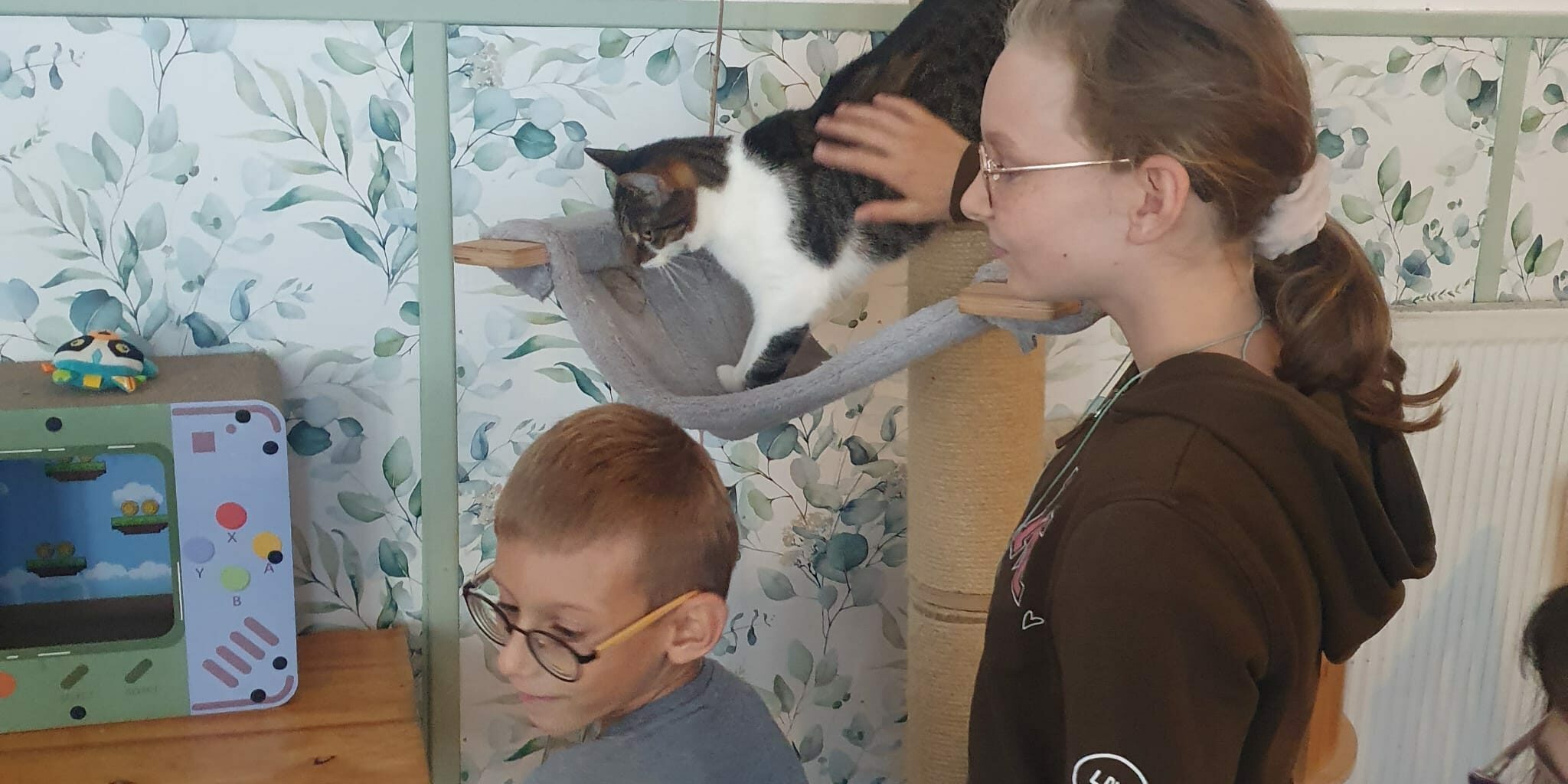 uczniowie głaskają kota