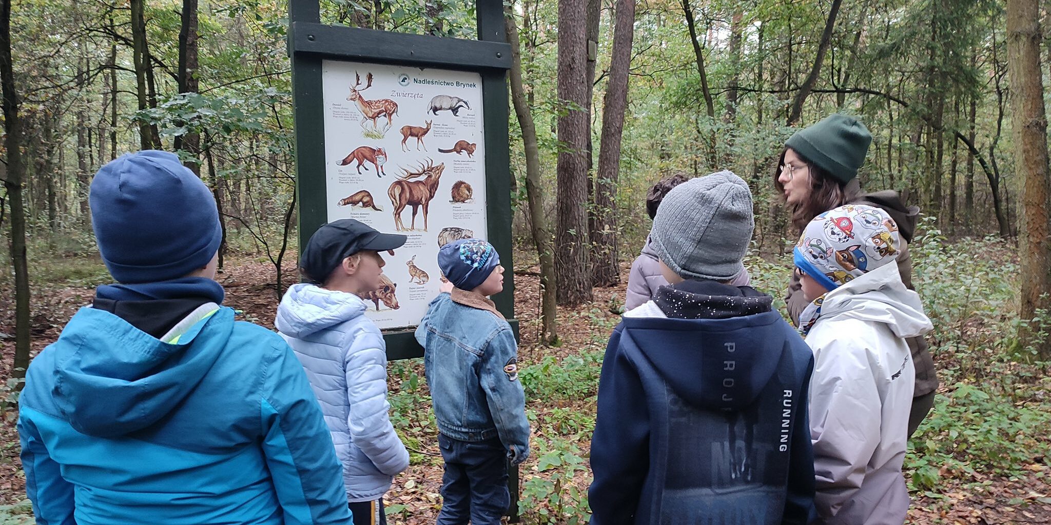 uczniowie stoją przy tablicy przedstawiającej zwierzęta leśne