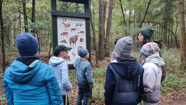 uczniowie stoją przy tablicy przedstawiającej zwierzęta leśne