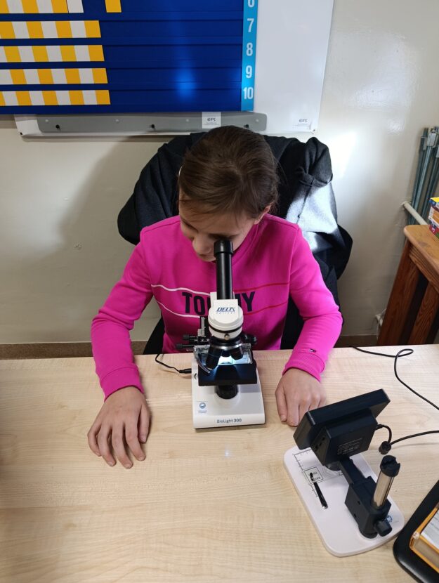 uczennica ogląda obraz pod mikroskopem